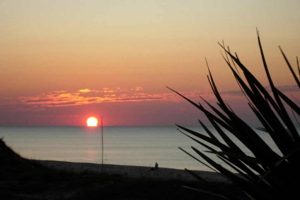 [Image: Make 'Playita Mia' Your Beach! Beachfront,Views Views Views]