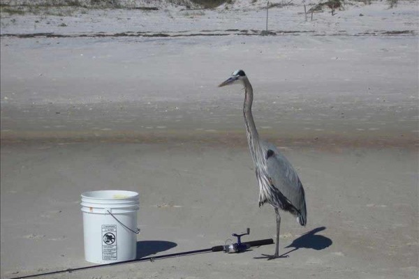 [Image: Prettiest Beach in Florida-and Trip Insurance on All Rentals!]