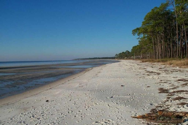 [Image: Stay at the 'Forgotten Coast' and Experience the Beach as You've Never Imagined!]