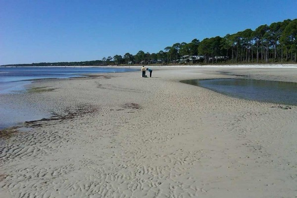 [Image: Stay at the 'Forgotten Coast' and Experience the Beach as You've Never Imagined!]