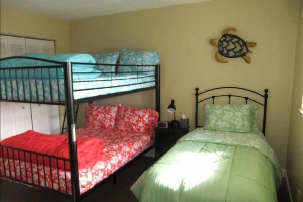 [Image: Oceanfront Condo- Near Daytona Beach &amp; Orlando]