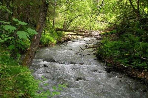 [Image: Serene Creekside Chalet by Majestic Alyeska Mtn. in Girdwood]