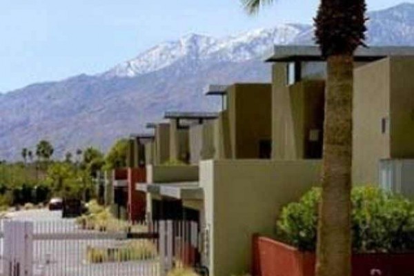 [Image: Contemporary Palm Springs Desert Oasis]