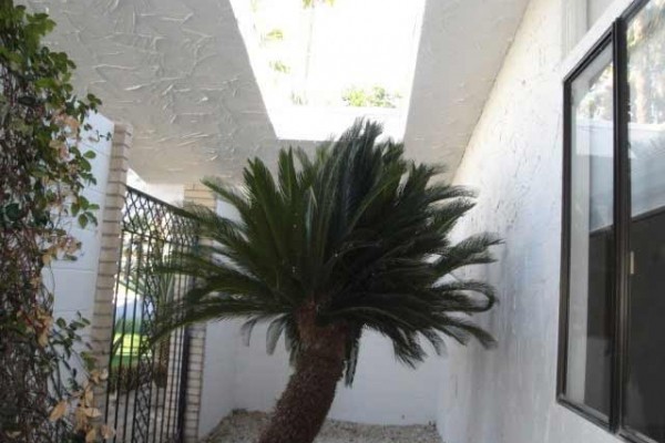 [Image: Snowbirds...Find Your Seasonal South Palm Springs Oasis...3 Mos. Min.]