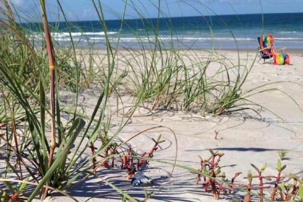 [Image: Beautiful Condo, Gorgeous Ocean View, Steps to the Secluded Beach!]