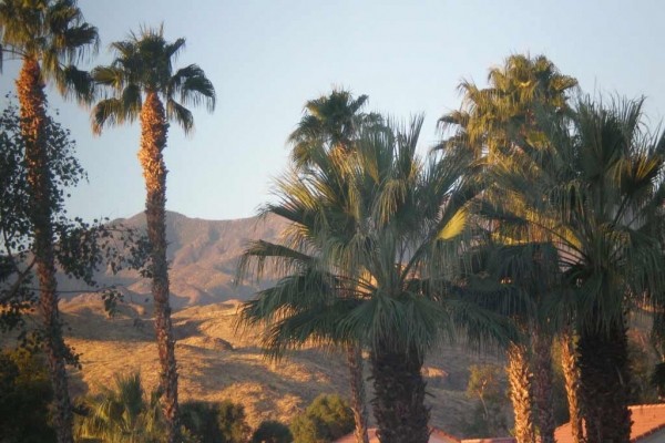 [Image: Palm Springs Heavenly Get-Away]
