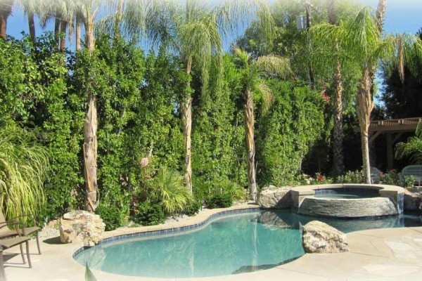 [Image: Private Home- Pool &amp; Spa- Walk to El Paseo]