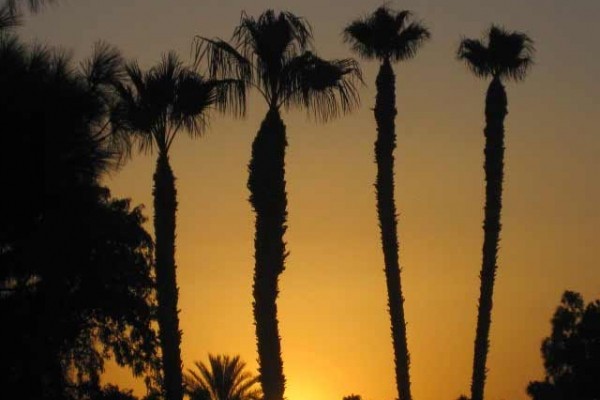 [Image: Great Condo in Palm Desert ~ Preferred Location. Super Clean!]