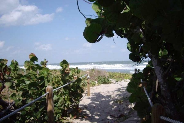 [Image: Luxury Townhouse with Private Elevator 2 Minute Walk to Beach]