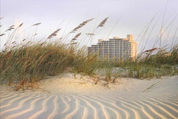 [Image: Luxurious Oceanfront Condo New Smyrna Beach, Fl]
