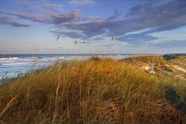 [Image: Luxurious Oceanfront Condo New Smyrna Beach, Fl]