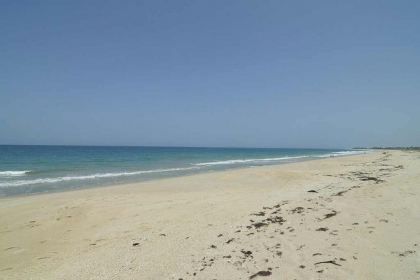 [Image: Vero Oceanfront Paradise- Four Bedroom Oceanfront Pool Home]