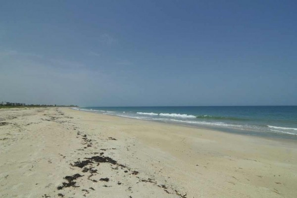 [Image: Vero Oceanfront Paradise- Four Bedroom Oceanfront Pool Home]