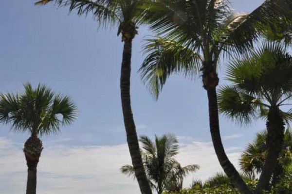 [Image: Oceanfront Home on Best Beach in Vero! Walk to Town!]