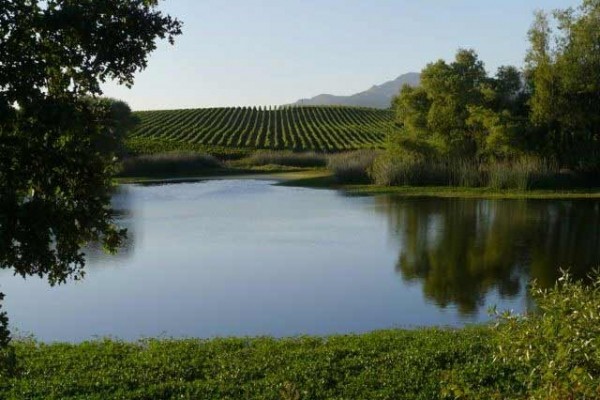 [Image: Magnificant Views - Private Eight Acre Lake-Side Estate 10 Minutes from Napa]