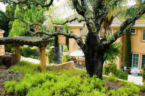 [Image: Italian Luxury Villa in Napa Valley]