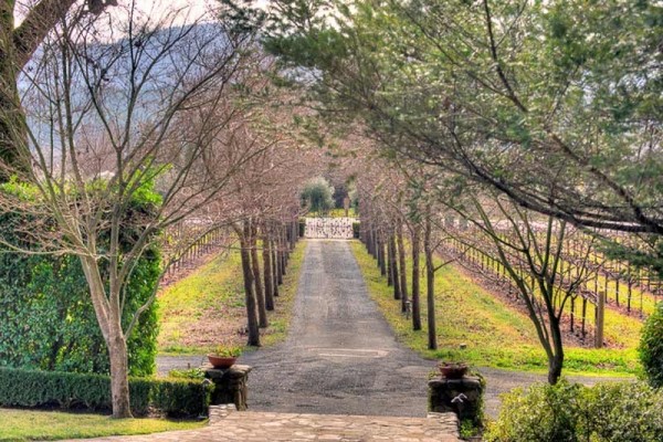 [Image: Luxury Vineyard View Estate]