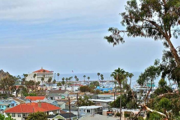 [Image: Avalon Oceanview* Split Level* Penthouse*Pool and Jacuzzi]