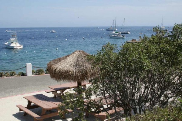 [Image: Amazing Value in Hamilton Cove,Catalina with Zero Steps and Golf Cart]