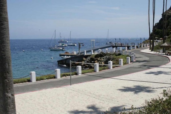 [Image: Amazing Value in Hamilton Cove,Catalina with Zero Steps and Golf Cart]