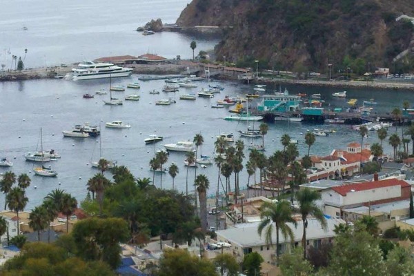 [Image: Come to Catalina Island and Experience Paradise]