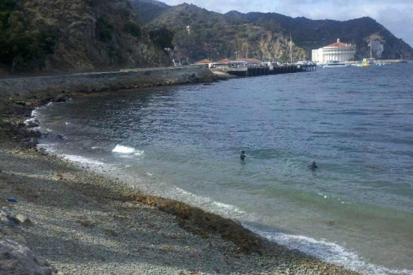 [Image: Come to Catalina Island and Experience Paradise]