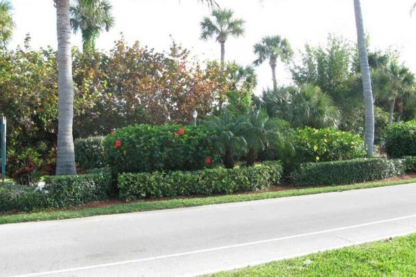 [Image: Ocean View Condo on South Hutchinson Island, Fl]