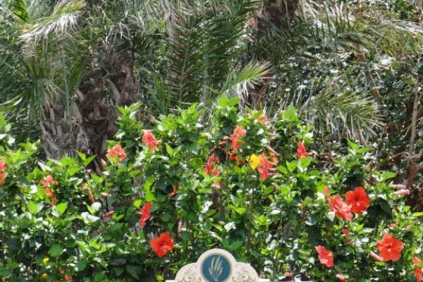 [Image: Ocean View Condo on South Hutchinson Island, Fl]