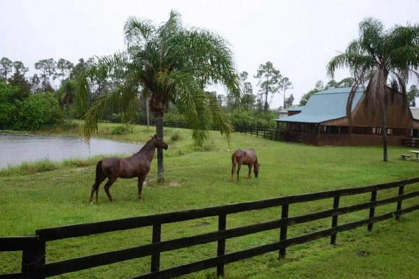 [Image: Peaceful 43 Acres Florida W/Lake,Horses,Close Jensen Beach &amp; Hutchison Island]