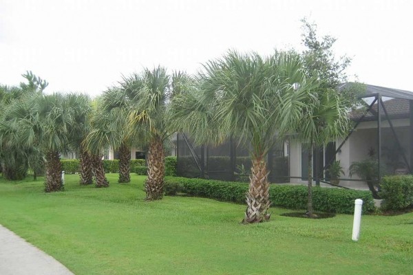 [Image: A Single Family Home that Would Truly Be a Golfers Paradise!]