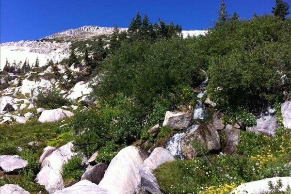 [Image: "Two Dog Chalet" (Snowy Range Mountains / Home on the River)]