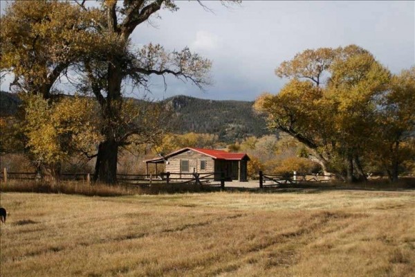 [Image: Deerwood Station- Relax in Our Beautiful Guest Cabin!]