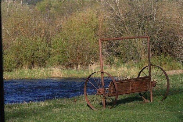 [Image: Deerwood Station- Relax in Our Beautiful Guest Cabin!]