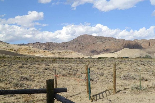 [Image: Halfway Between Yellowstone Park and Cody, Wyoming - Horses Welcome!]