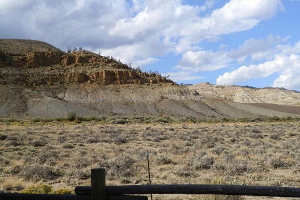 [Image: Halfway Between Yellowstone Park and Cody, Wyoming - Horses Welcome!]