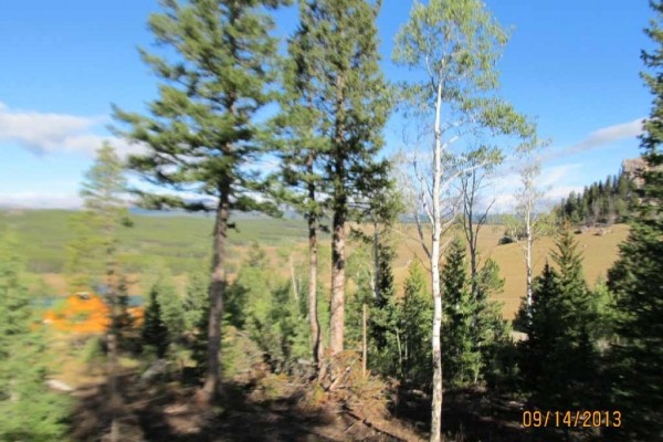 [Image: Elk Meadow Hidden Cabin]