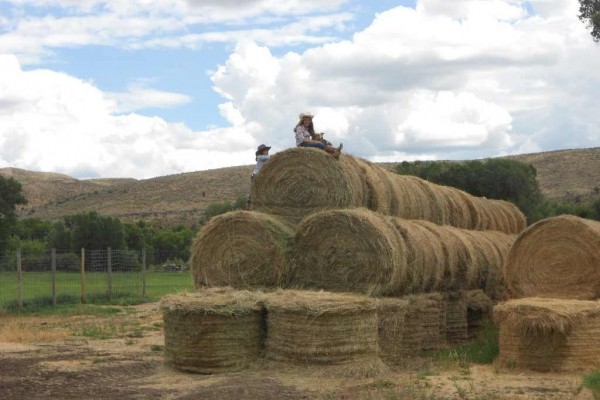 [Image: Stay on the C Lazy J Ranch--Bring Your Horse and Fishing Pole!]