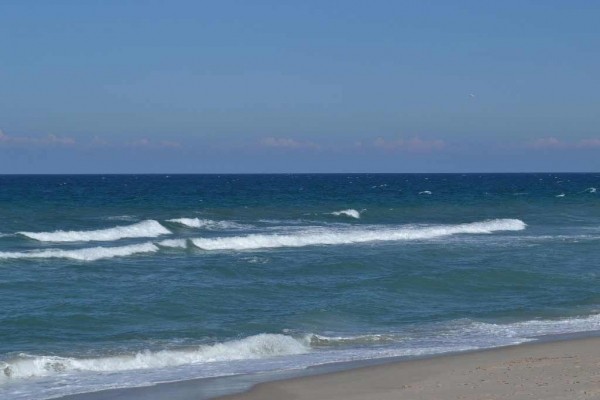 [Image: On the Beach -- Ocean Views -- Teriffic Price]