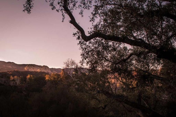 [Image: Topanga Canyon Retreat - L.a.'S Hidden Gem]