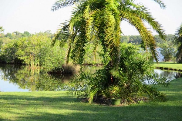 [Image: Serenety and Romance.... the Lagoon House.]