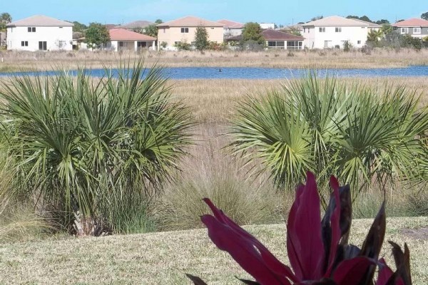 [Image: New Luxury Home in Port St Lucie, the Golf City. 3 Bedrooms, 2 Full Bathrooms]