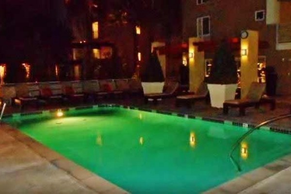 [Image: New Listing! Modern 2BR Condo W/Great Amenities &amp; Pool Access - Easy Drive to Hollywood, Malibu &amp; Santa Monica!]