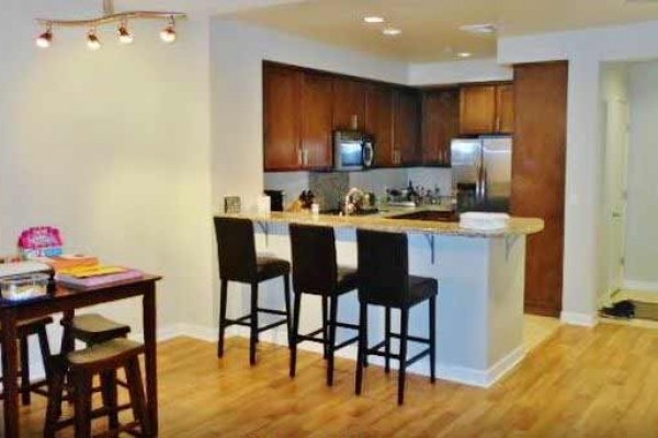 [Image: New Listing! Modern 2BR Condo W/Great Amenities &amp; Pool Access - Easy Drive to Hollywood, Malibu &amp; Santa Monica!]