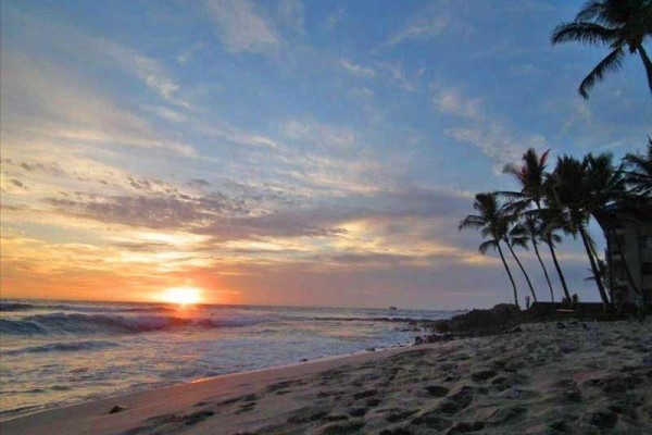 [Image: The Honu Retreat- Oceanviews!! / April/May-Special -- Contact Owner for Quote]