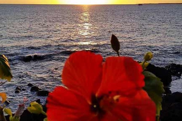 [Image: Kona's Finest 'True' Ocean Front, Waves Roll Under the Lanai]