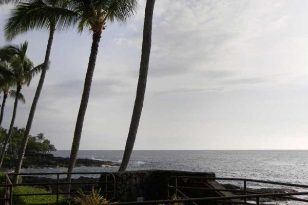 [Image: Luxurious - Fully Remodeled Oceanfront Condo - Relax in Kona!]