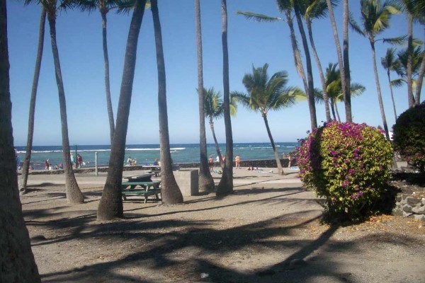 [Image: Premier Oceanfront Top Floor Alii Villas 331 Near Town]