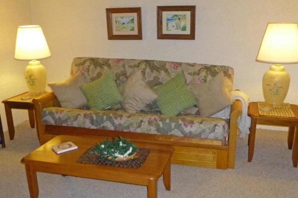 [Image: Ocean View Condo. Lush Tropical Oasis. 1bd/1BA. Heated Pool. Bbq Area.]