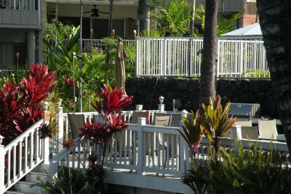 [Image: Ocean View Condo. Lush Tropical Oasis. 1bd/1BA. Heated Pool. Bbq Area.]