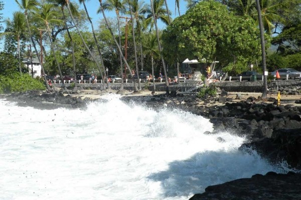 [Image: Ocean View Condo. Lush Tropical Oasis. 1bd/1BA. Heated Pool. Bbq Area.]